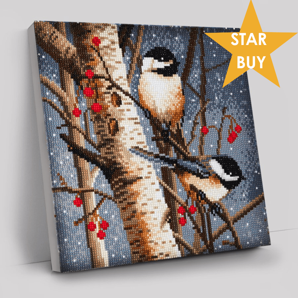 "Woodland Sprites" Crystal Art Canvas Kit 30x30cm