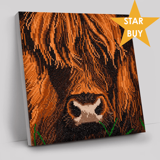 "Highland Cow" Crystal Art Canvas Kit 30x30cm