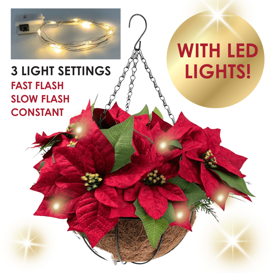Poinsettia LED Forever Flowerz Hanging Basket