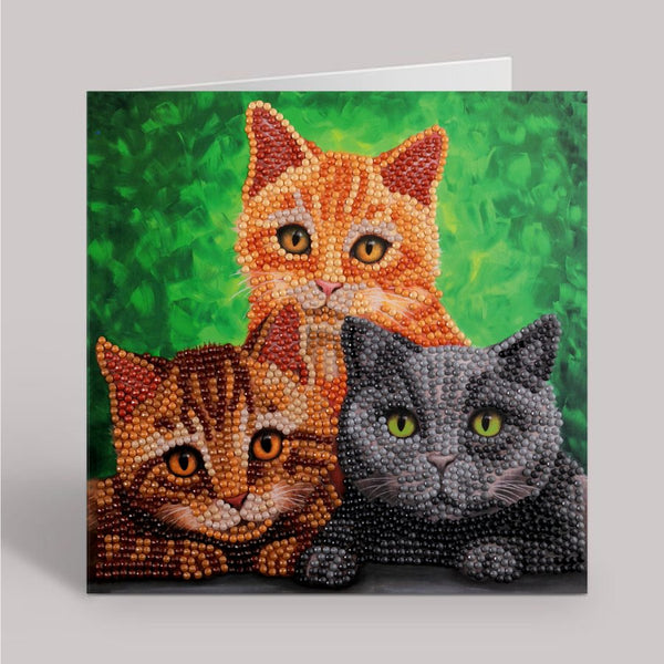 CRYSTAL ART CCK-A86 – Kit Biglietto Paradise 18x18cm Con Pappagallo – Diamond Painting Per Adulti E Bambini