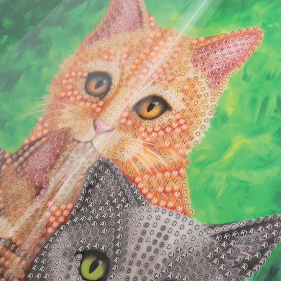 "Cat Portrait" Crystal Art Card Before
