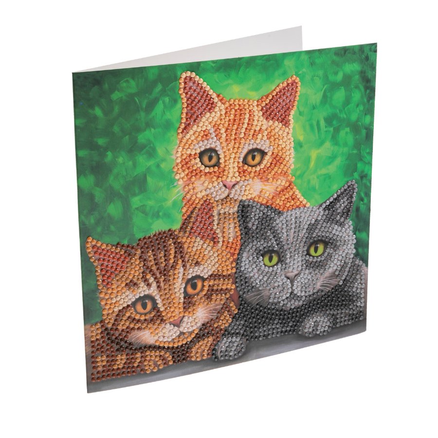 "Cat Portrait" Crystal Art Card Front