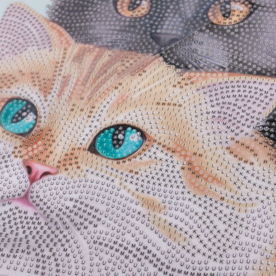 “Cats” Crystal Art Kit 30x30cm Before