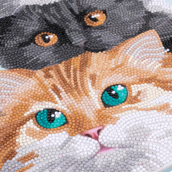 “Cats” Crystal Art Kit 30x30cm Close Up