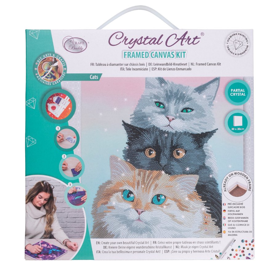 “Cats” Crystal Art Kit 30x30cm Front Packaging