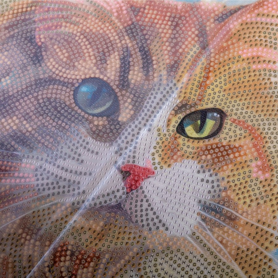“Curious Cat” Crystal Art Kit 30x30cm Before