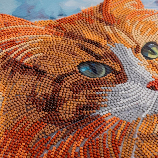 “Curious Cat” Crystal Art Kit 30x30cm Close Up