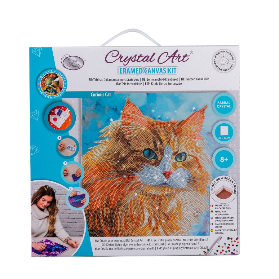 “Curious Cat” Crystal Art Kit 30x30cm Front Pacxkaging