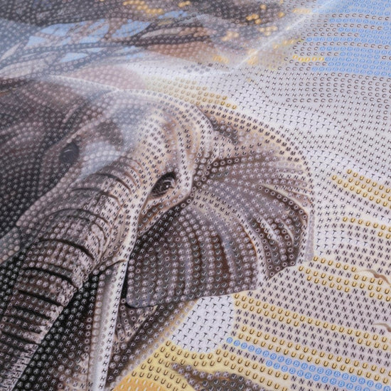 “Elephant” Crystal Art Kit 30x30cm Before
