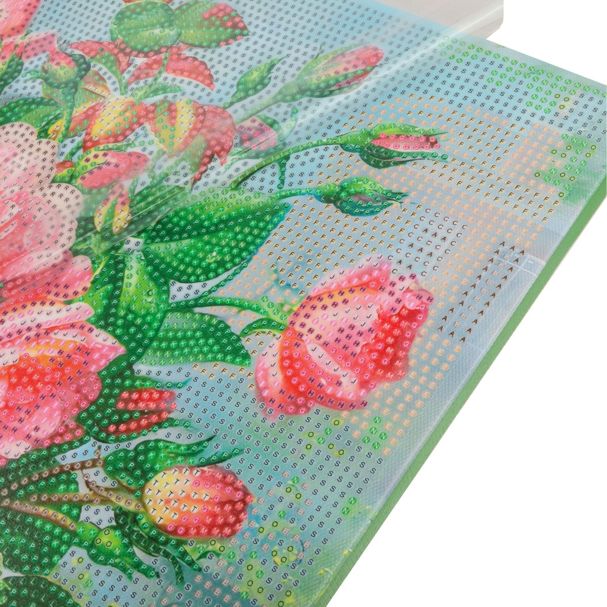 Graceful Roses Crystal Art Canvas Kit 40x50cm – Craft Buddy