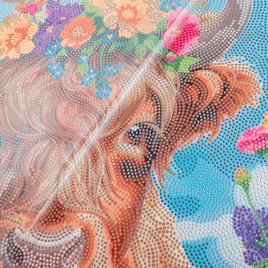 Highland Fun Crystal Art Framed Canvas Kit 40x50cm