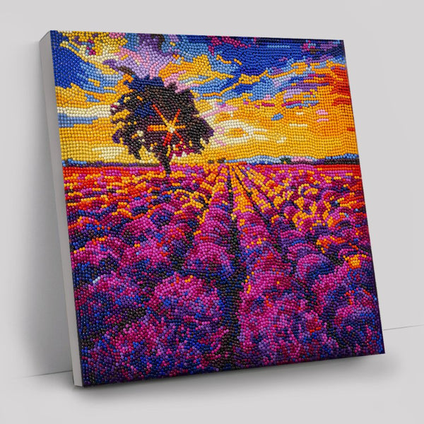 Lavender-Field-538101_grande.