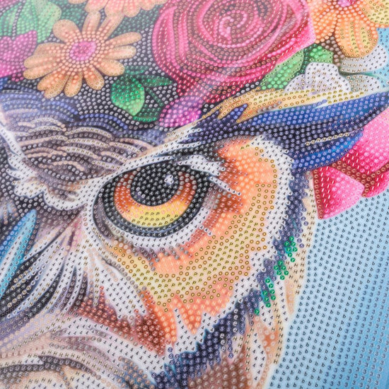 "Owl" Crystal Art Canvas Kit 40x50cm Before 
