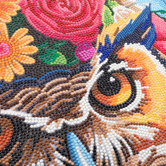 "Owl" Crystal Art Canvas Kit 40x50cm Close Up