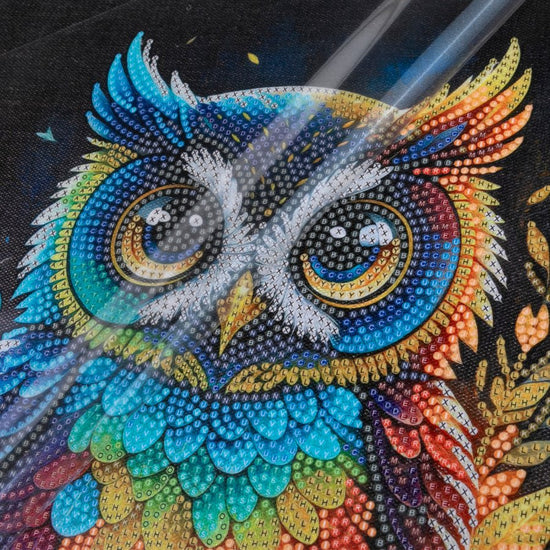 "Owl" Crystal Art Kit 30x30cm Before