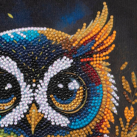 "Owl" Crystal Art Kit 30x30cm Close Up