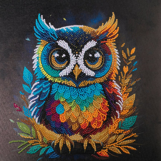 "Owl" Crystal Art Kit 30x30cm Front
