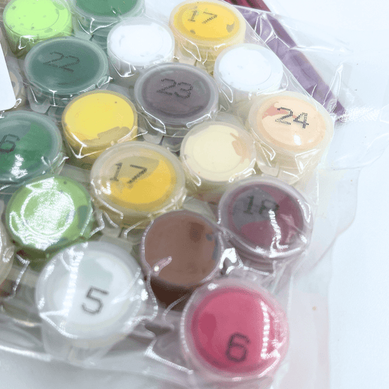 Paint By Numbers Greeting Card Set 6Cards 2