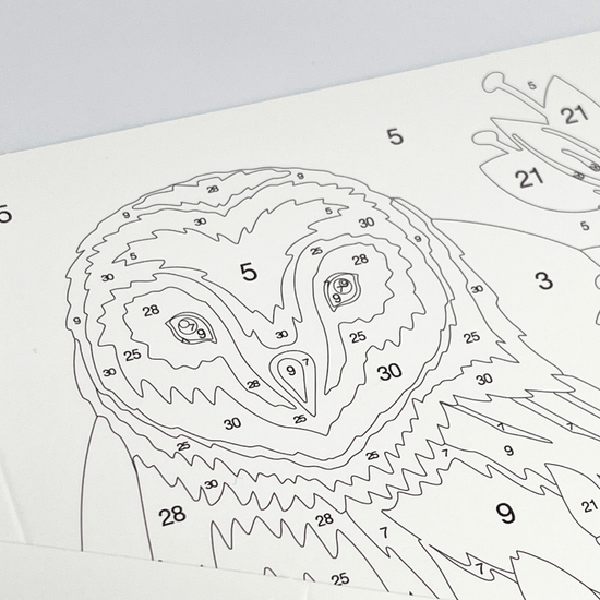 Paint By Numbers Greeting Card Set 6Cards 3