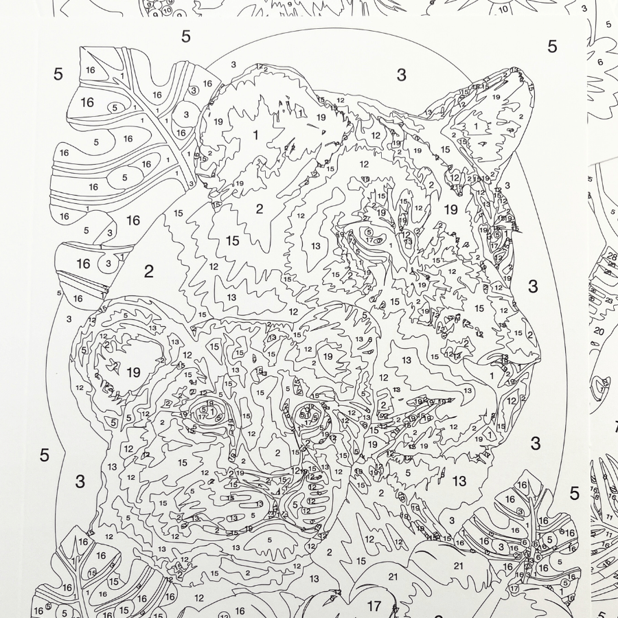 Paint By Numbers Greeting Card Set 6Cards 8