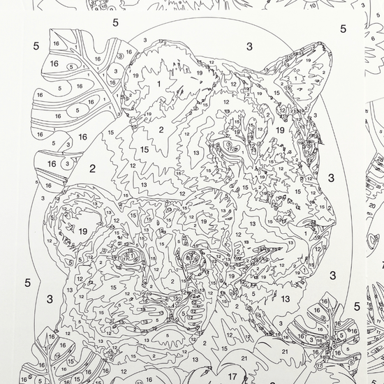 Paint By Numbers Greeting Card Set 6Cards 8