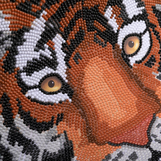 "Tiger" Crystal Art Scroll Close Up