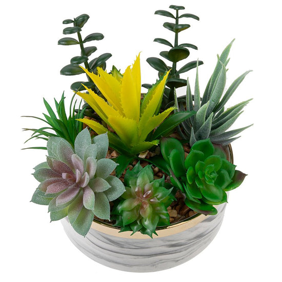 Forever Flowerz ceramic pot and succulents kit