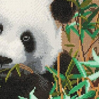 Panda Crystal Art Canvas Kit 40x50cm – Craft Buddy