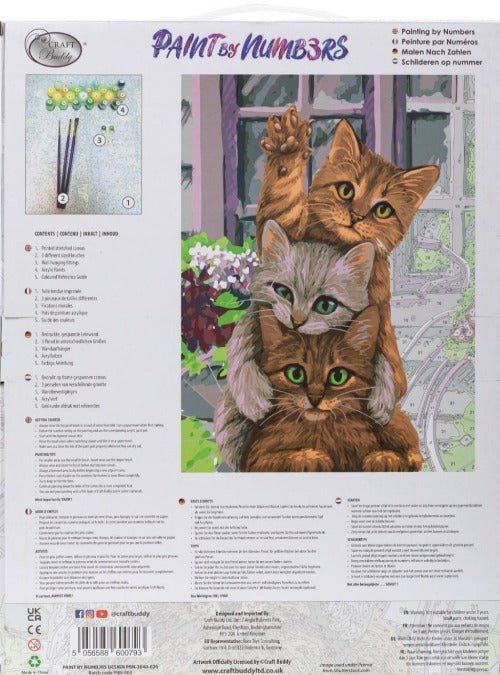 "Hello Kittens" Paint by Numb3rs 30x40cm Framed Kit - Back Packaging