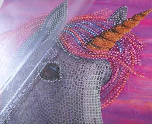 Load image into Gallery viewer, Unicorn Delights picture frame crystal art 21 x 25cm by Rachel Froud Close Up
