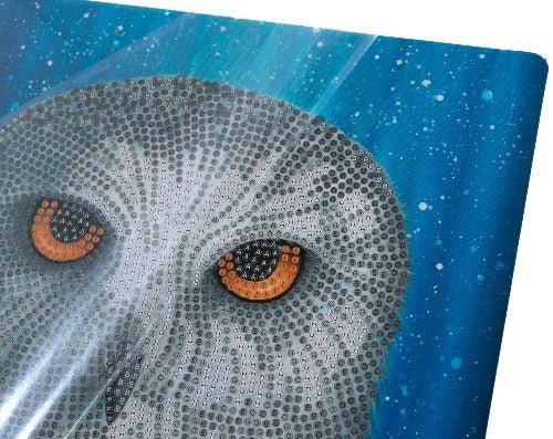 Load image into Gallery viewer, Snowy Owl By Night Picture Frame Crystam Art 21 x 25cm By Rachel Froud Close Up

