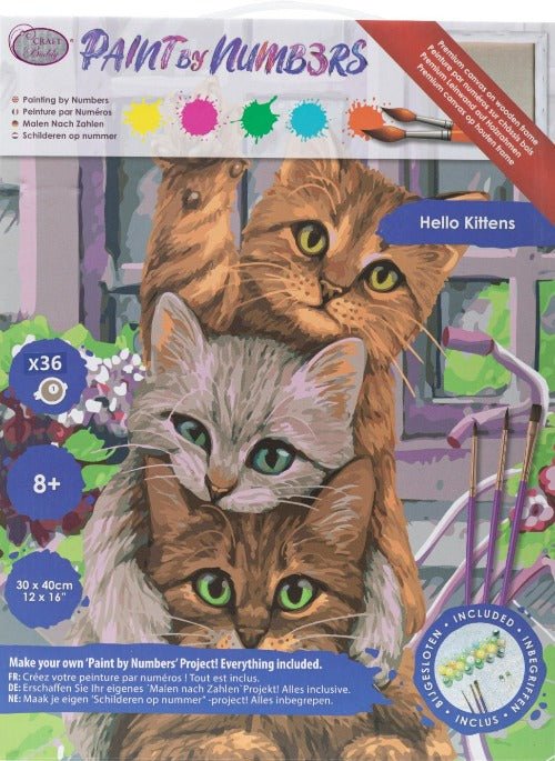 "Hello Kittens" Paint by Numb3rs 30x40cm Framed Kit - Front Packaging