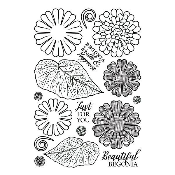 Load image into Gallery viewer, Forever Flowerz: Beautiful Begonias Stamp Set
