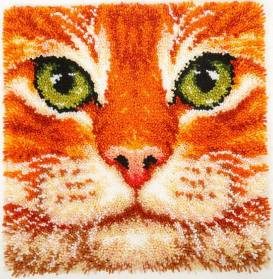 Ginger Cat Latch Hook Rug Kit 53.5*53.5cm – Craft Buddy