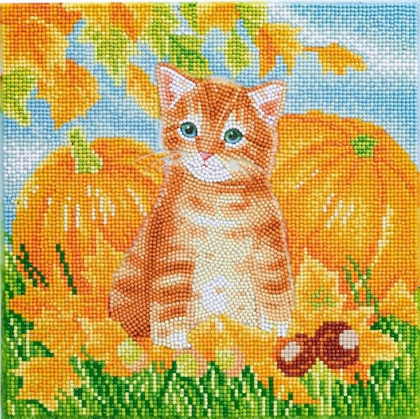 Load image into Gallery viewer, Autumn cat crystal art kit
