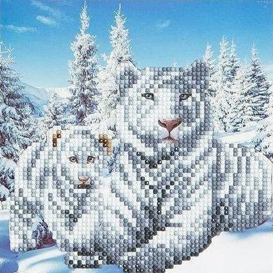 "Snowy White Tigers" Crystal Card Kit
