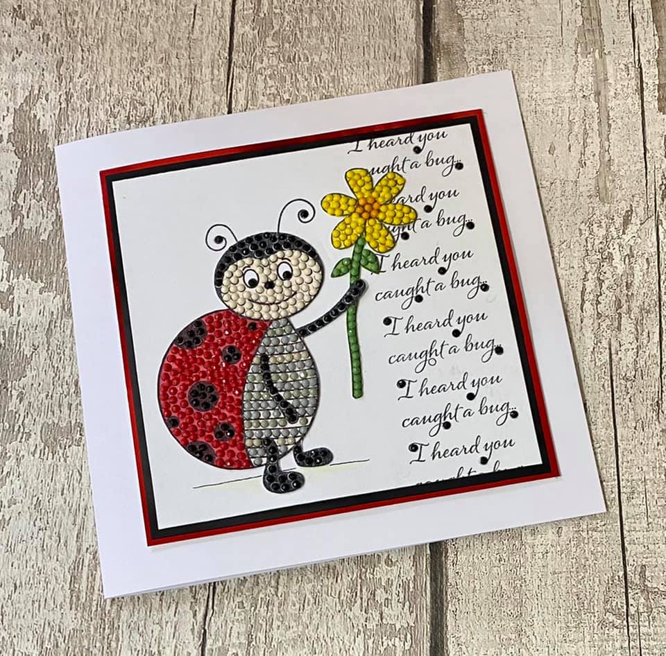 Craft Buddy Love Bug Ladybird Crystal Art A6 Stamp Set