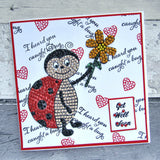CCST24: Craft Buddy Love Bug Ladybird Crystal Art A6 Stamp Set