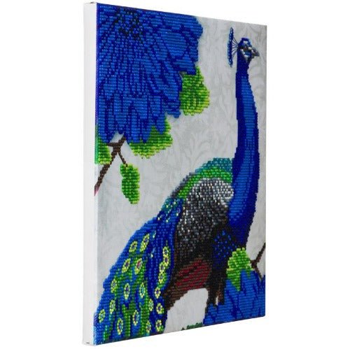 Peacock crystal art canvas kit side view