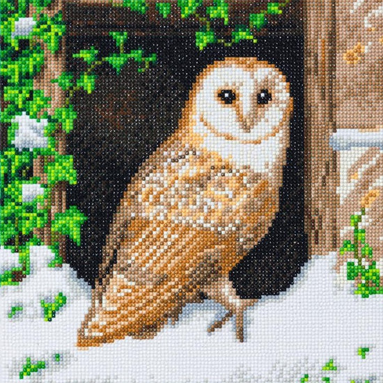 Snowy owl crystal art kit