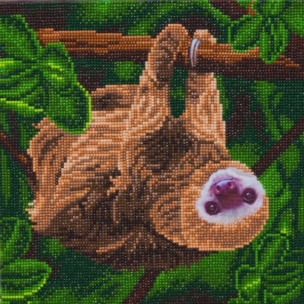 Two toed sloth crystal art canvas kit
