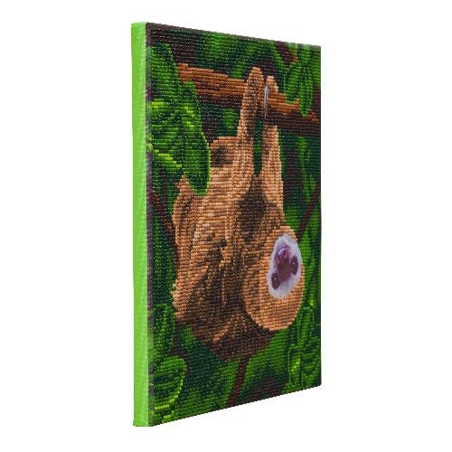Two toed sloth crystal art canvas kit side view