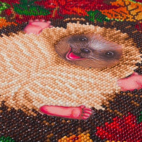 Autumn hedgehog crystal art canvas kit close up