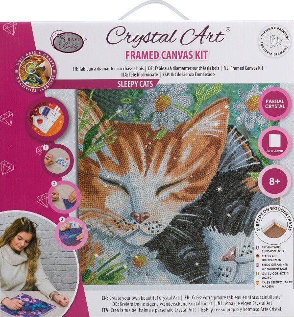 Load image into Gallery viewer, Sleepy cats crystal art kit front packaging
