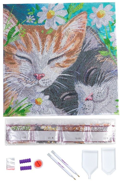 Sleepy cats crystal art kit contents