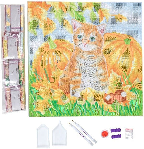 Load image into Gallery viewer, Autumn cat crystal art kit contents
