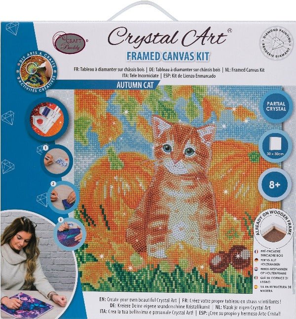 Load image into Gallery viewer, Autumn cat crystal art kit front packaging
