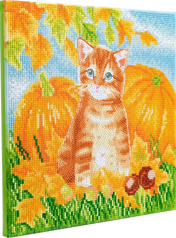 Load image into Gallery viewer, Autumn cat crystal art kit side view
