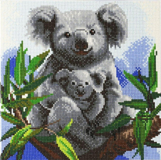 "Koala Bears" 30x30cm (Medium) Front