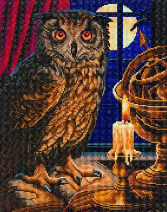 Load image into Gallery viewer, &amp;quot;The Astrologer Owl&amp;quot; Framed Crystal Art Kit 40x50cm
